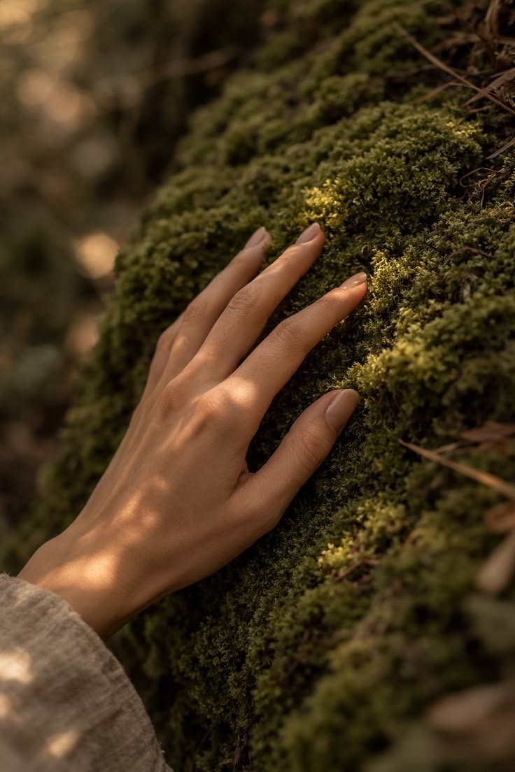 Une main posée délicatement sur un tapis de mousse verte, dans une lumière douce de forêt
